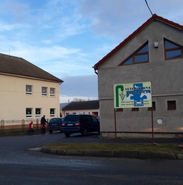 Veterinárna ambulancia - MVDr. Jozef Malček, MVDr. Martin Malček