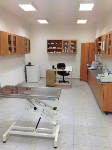 Veterinárna ambulancia - MVDr. Jozef Malček, MVDr. Martin Malček