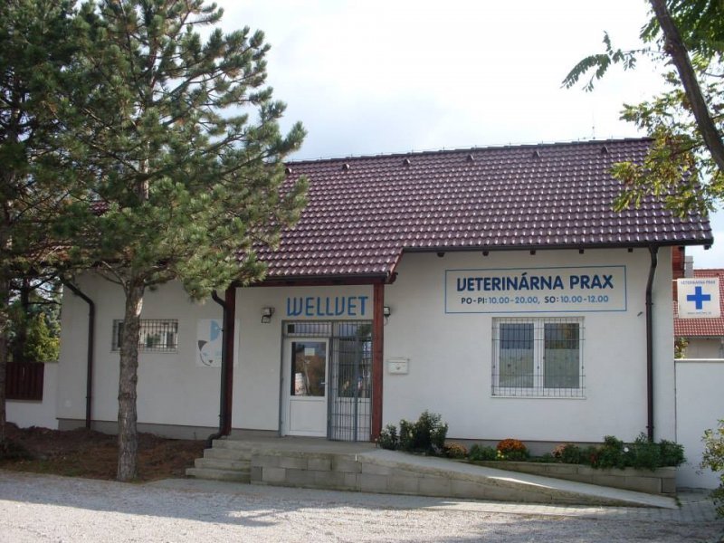 Wellvet veterinárna prax