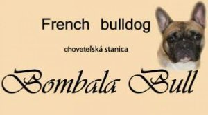 Bombala Bull chovná stanica francúzsky buldoček