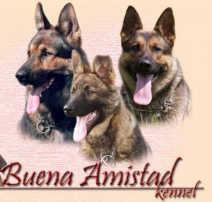 Buena Amistad - chovná stanica nemekcých ovčiakov