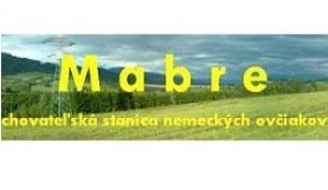 Mabre - chovná stanica nemeckých ovčiakov