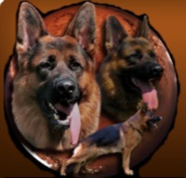 vom Haus Haribal - chovná stanica nemeckých ovčiakov