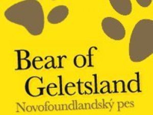 Bear of Geletsland - chovná stanica novofundlandských psov