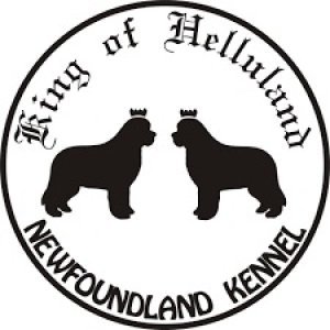 King of Helluland - chovná stanica novofundlandských psov