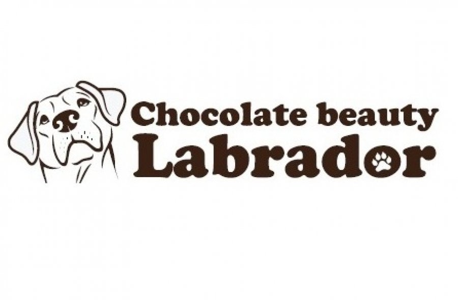 CHOCOLATE BEAUTY LABRADOR - chovateľská stanica labradorov