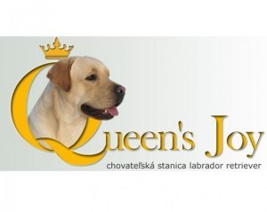 Queen's Joy chovateľská stanica labradorov
