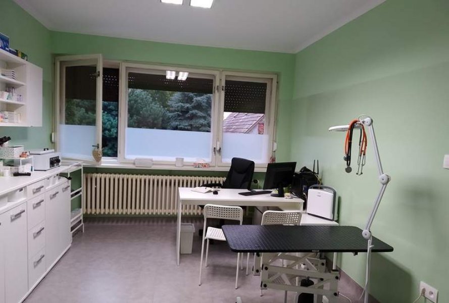 Wild Wild Vet - veterinárna ambulancia