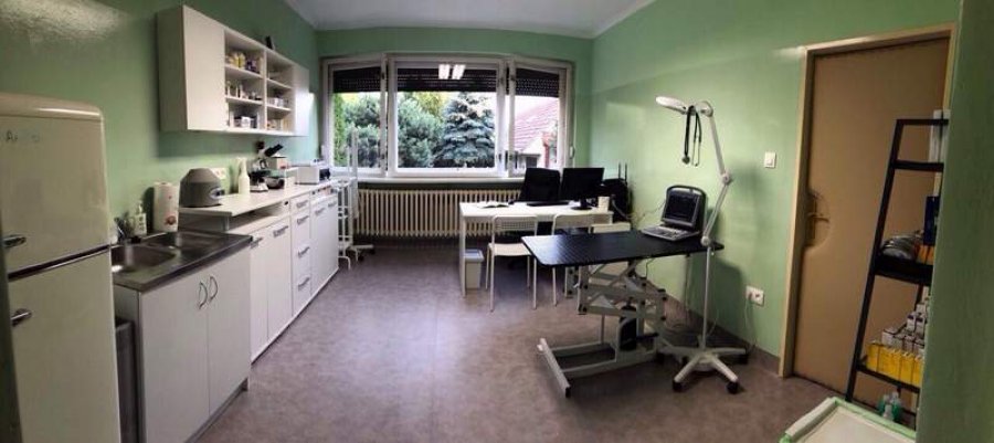 Wild Wild Vet - veterinárna ambulancia