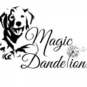 Magic Dandelion - chovná stanica zlatých retrieverov