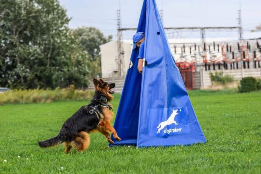 Dogtrainer - výcvik psov