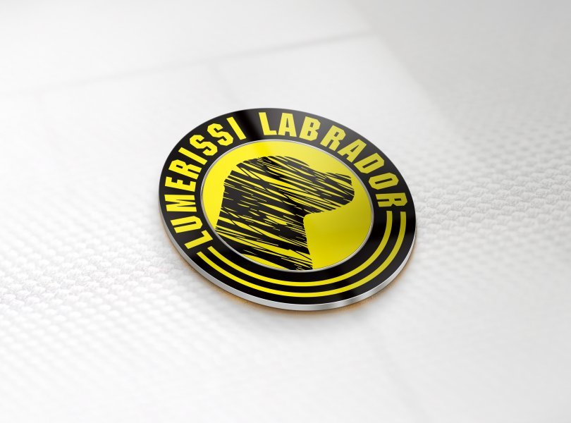 Lumerissi labrador