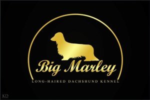 BIG Marley