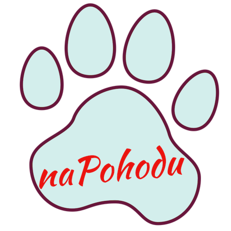 Ing.  Monika Jurčíková