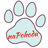 Ing.  Monika Jurčíková