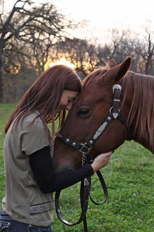 Kôň a dievča