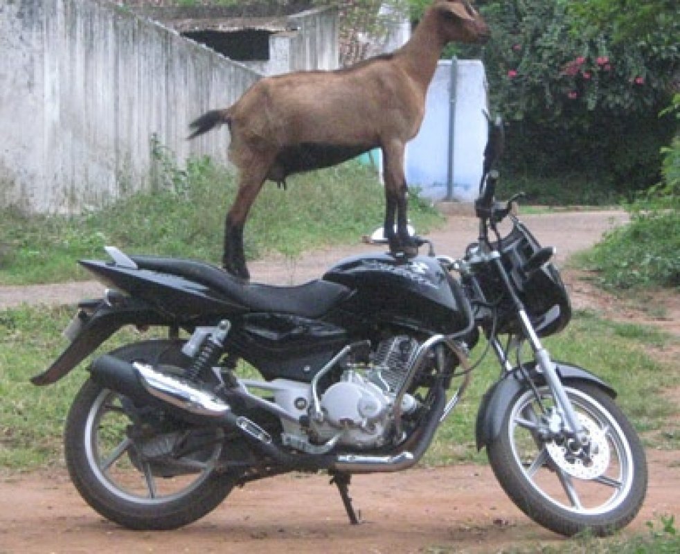Koza na motorke