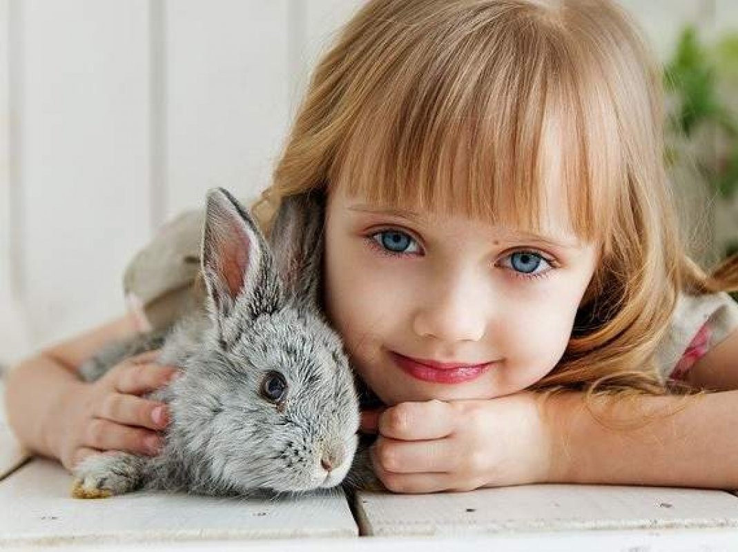 milé domáce zvieratko