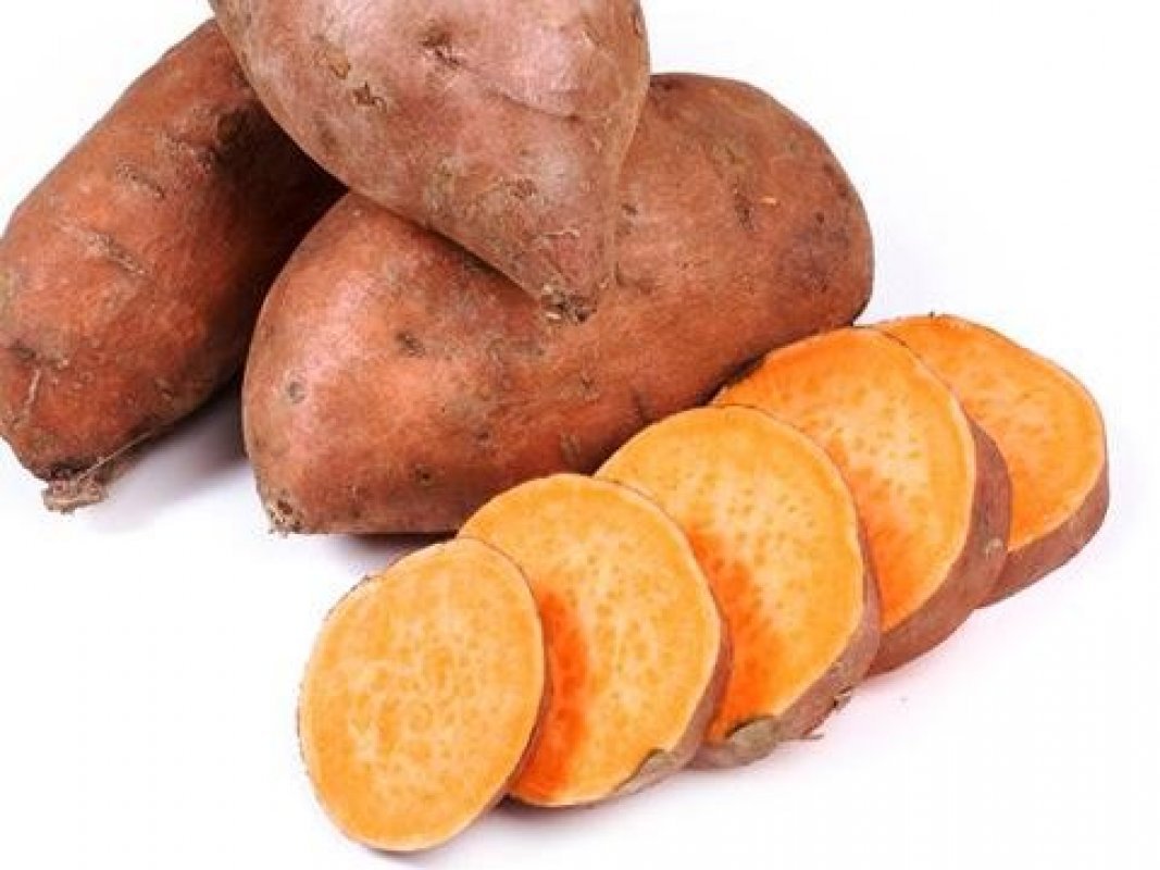 Sladké zemiaky odroda beauregard