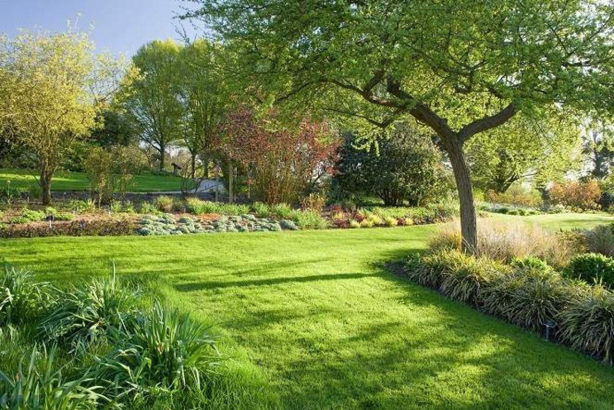 divoká, moderná záhrada