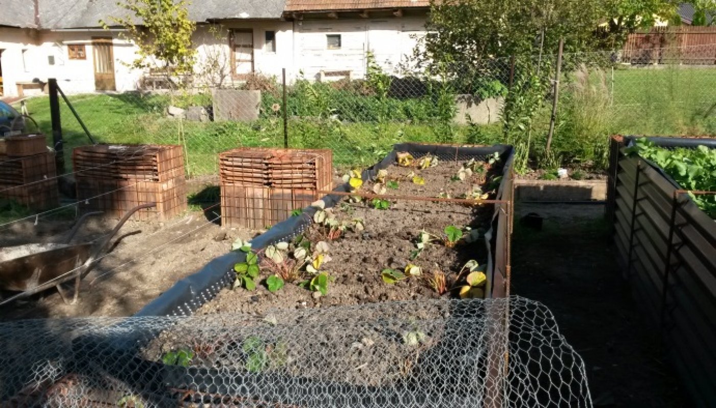kombinácie zeleniny v záhrade
